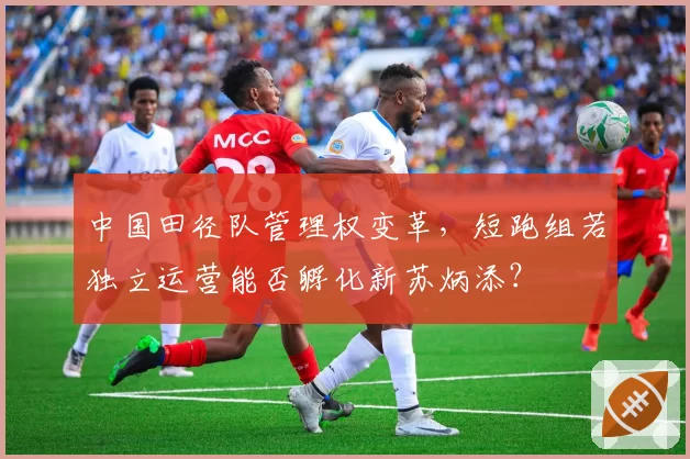 中国田径队管理权变革，短跑组若独立运营能否孵化新苏炳添？